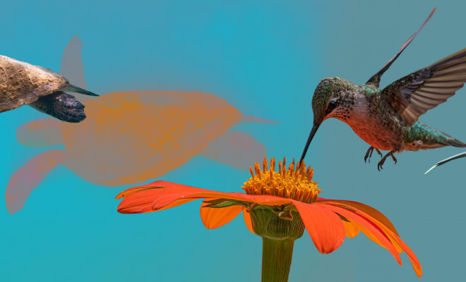 Biodiversidad: la hora de las empresas