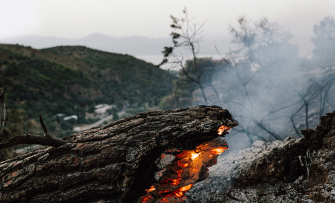 Incendios forestales. Podemos (y debemos) frenar el fuego