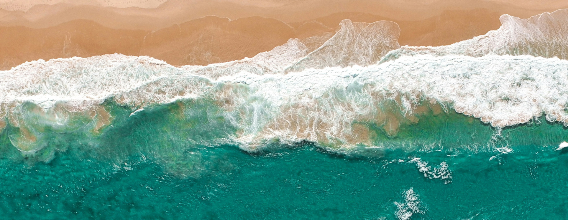 Blue Carbon. Sea Vegetation Depends on Land WaterBlue Carbon.