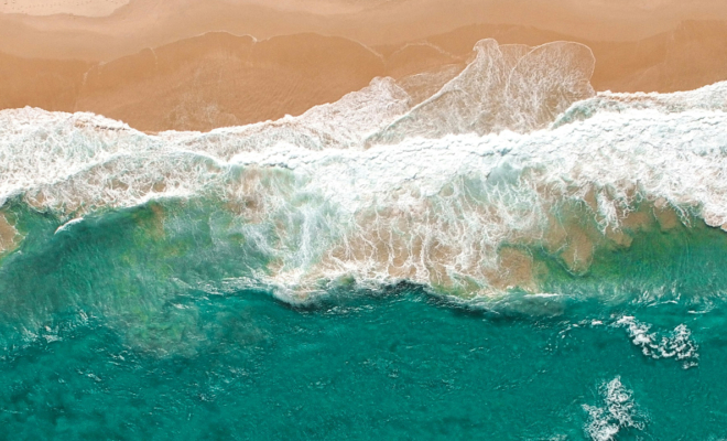 Blue Carbon. Sea Vegetation Depends on Land WaterBlue Carbon.