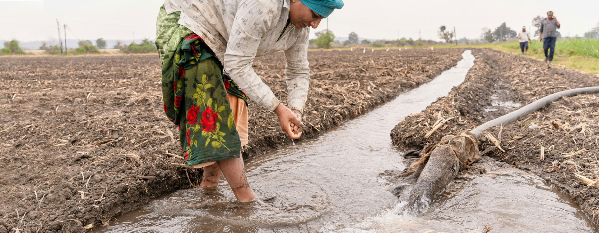 Desperdicio hídrico: Acabar con las pérdidas de agua, prioridad mundial